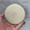 free palesitne ring dish free palesitne ring dish